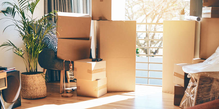 apartment shifting services in Mint Hill 